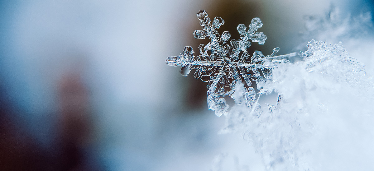 flocon de neige givre