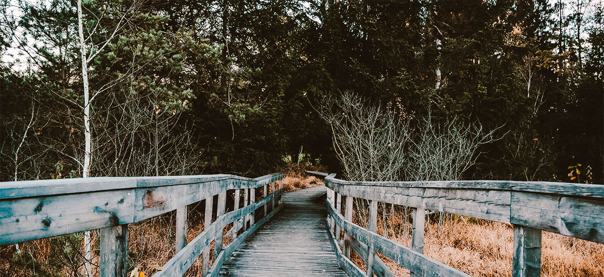 pont de bois