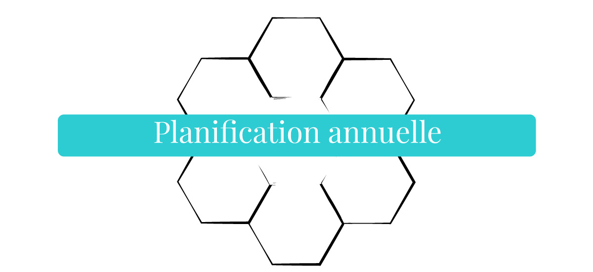 planification annuelle