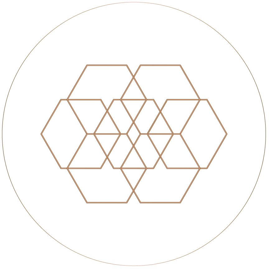 Les Bees - laboratoire vivant